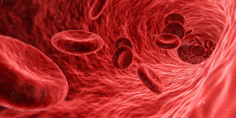 ¿Por qué tengo anemia? La MTC tiene respuestas